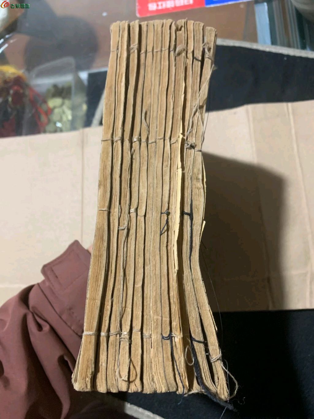 1767149906972.xfile.jpg