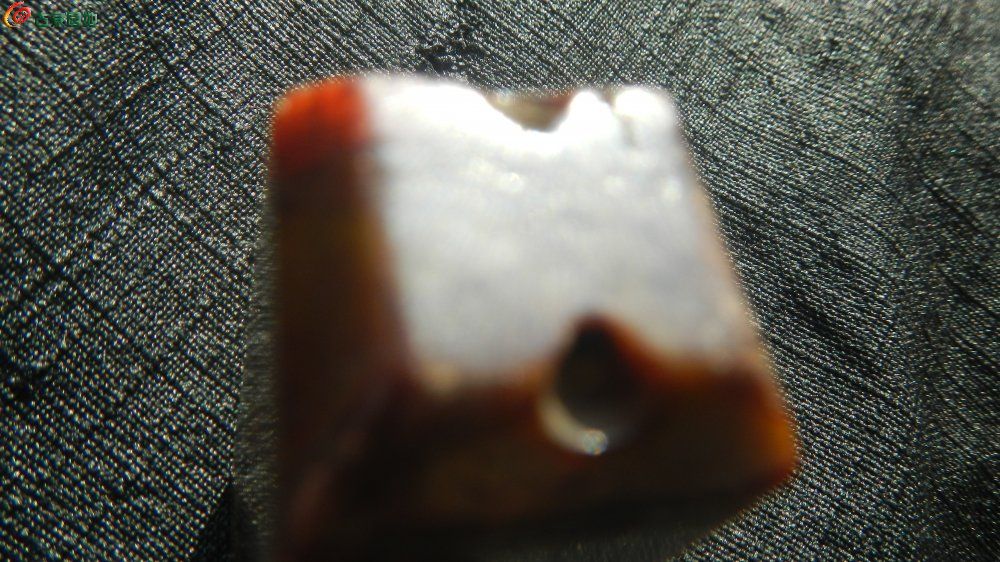 DSCN4886.JPG