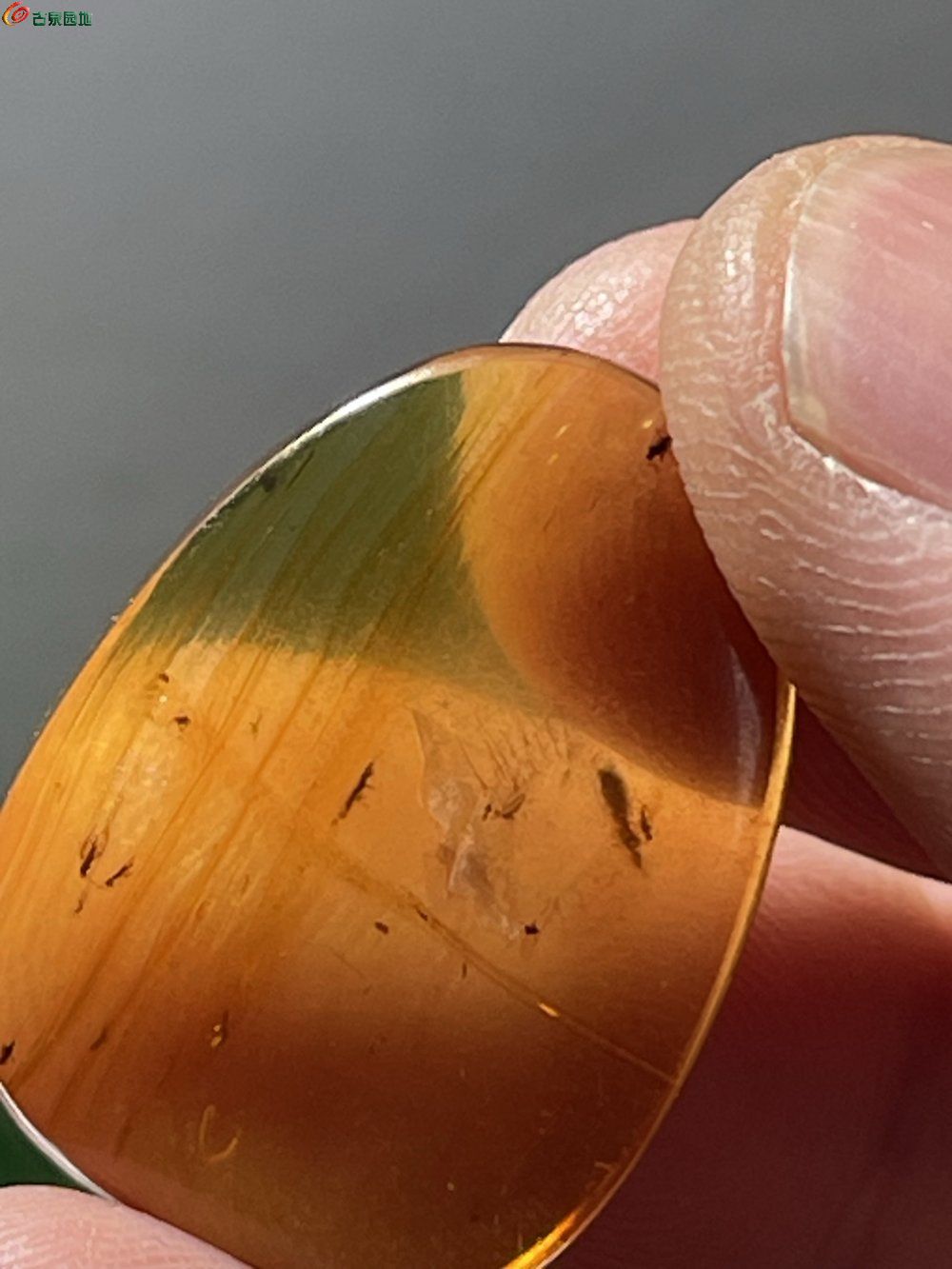 琥珀虫珀戒面15个2.jpg
