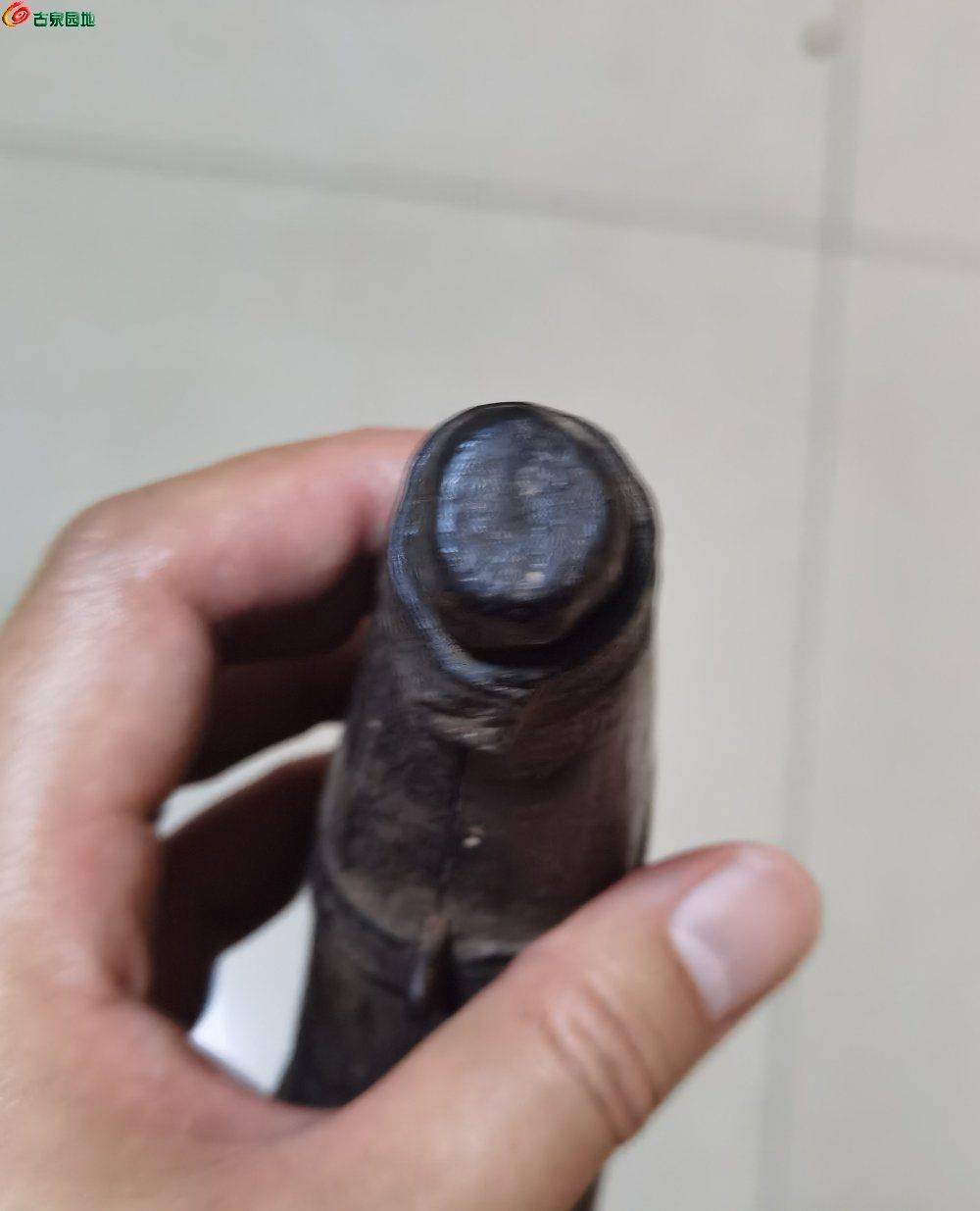 189,0123beea52abd19d.jpg