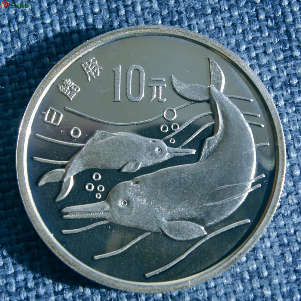 极美品原光1988年白鳍豚10元纪念银币正.jpg