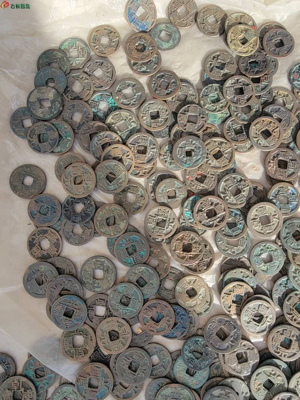 50793.jpg