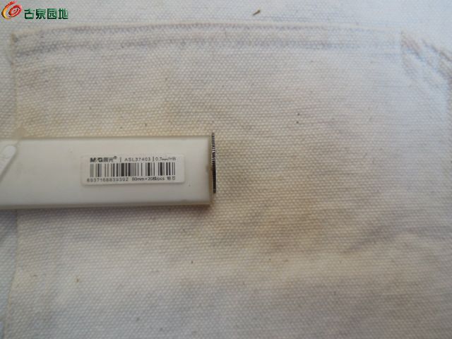 DSCN1105.JPG