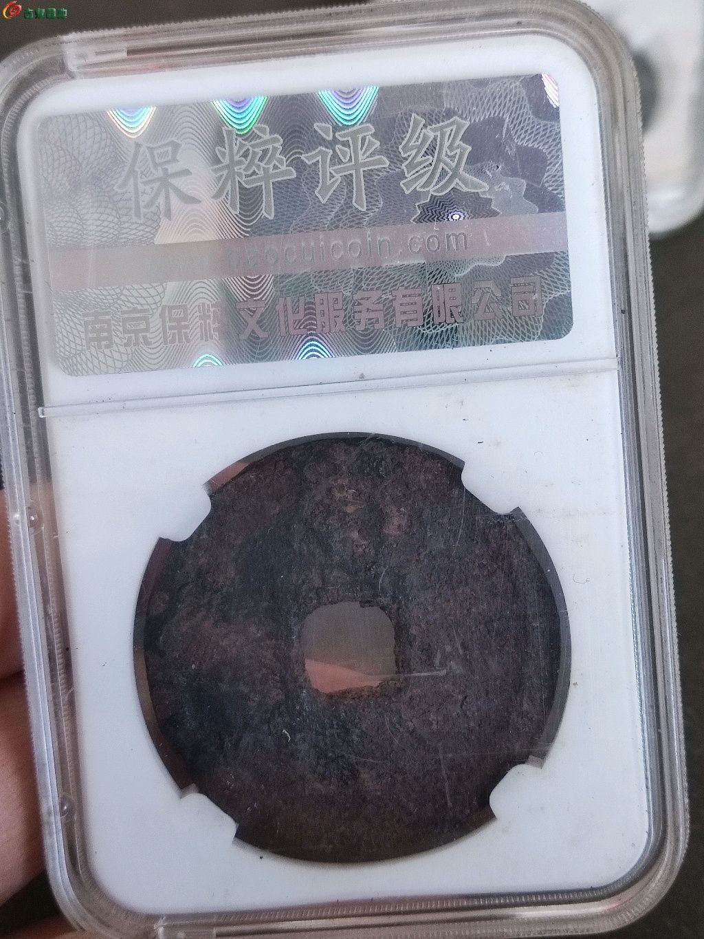 1768032816286.xfile.jpg