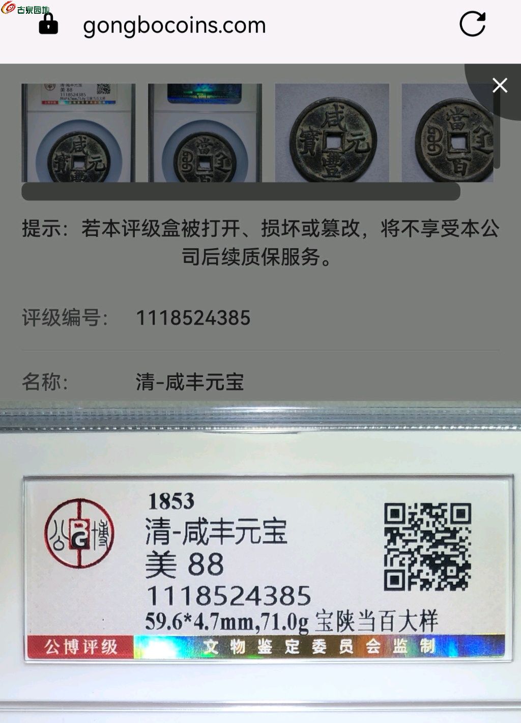 1768092932091.xfile.jpg