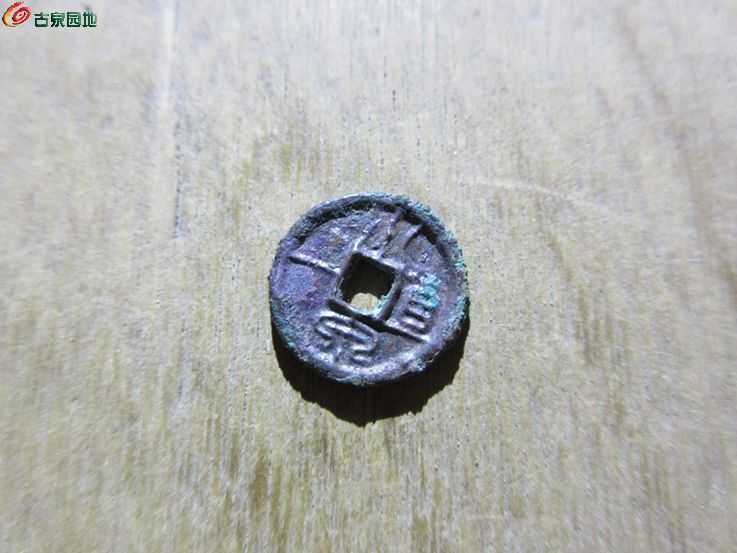 小泉直一美1.jpg