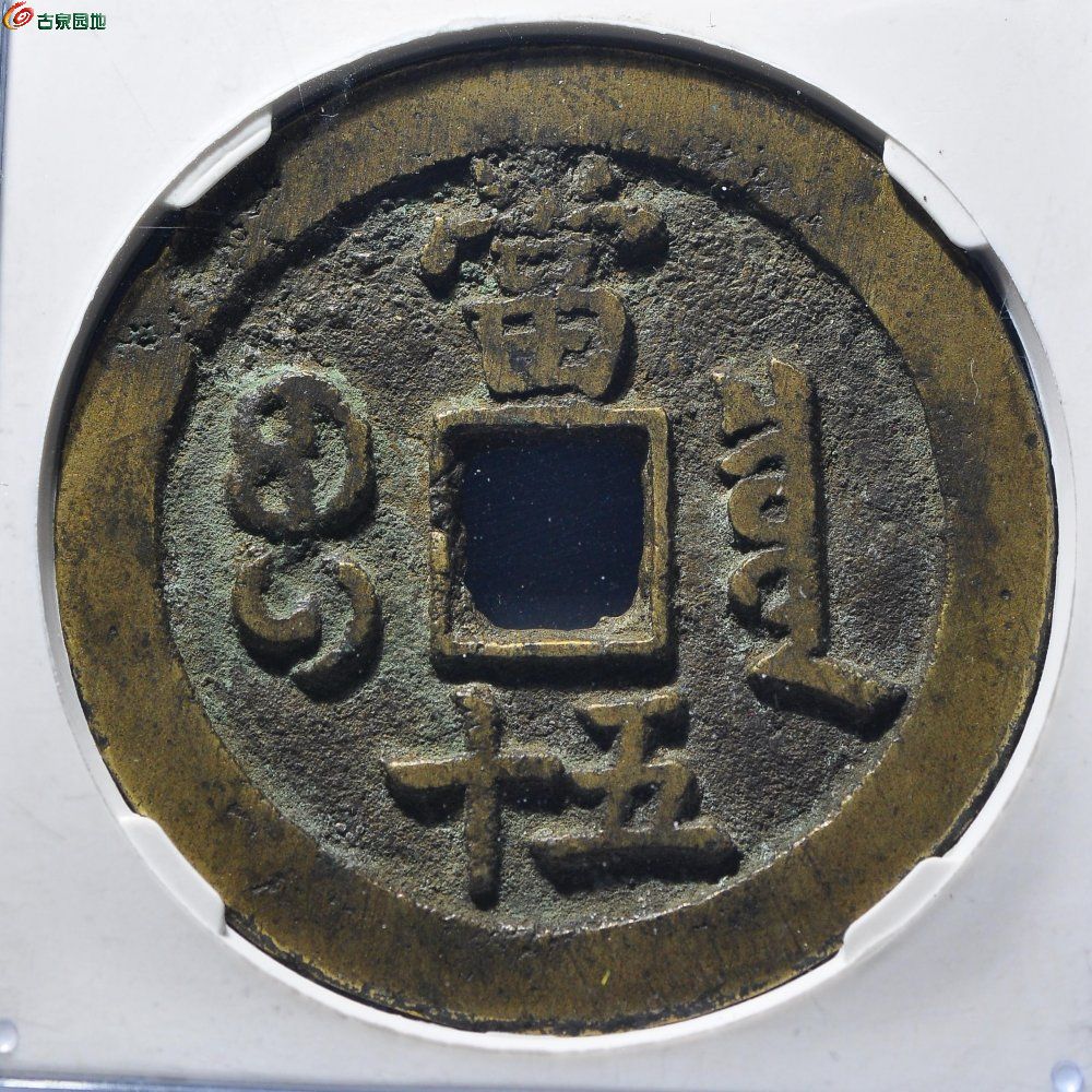 bci967-2.JPG
