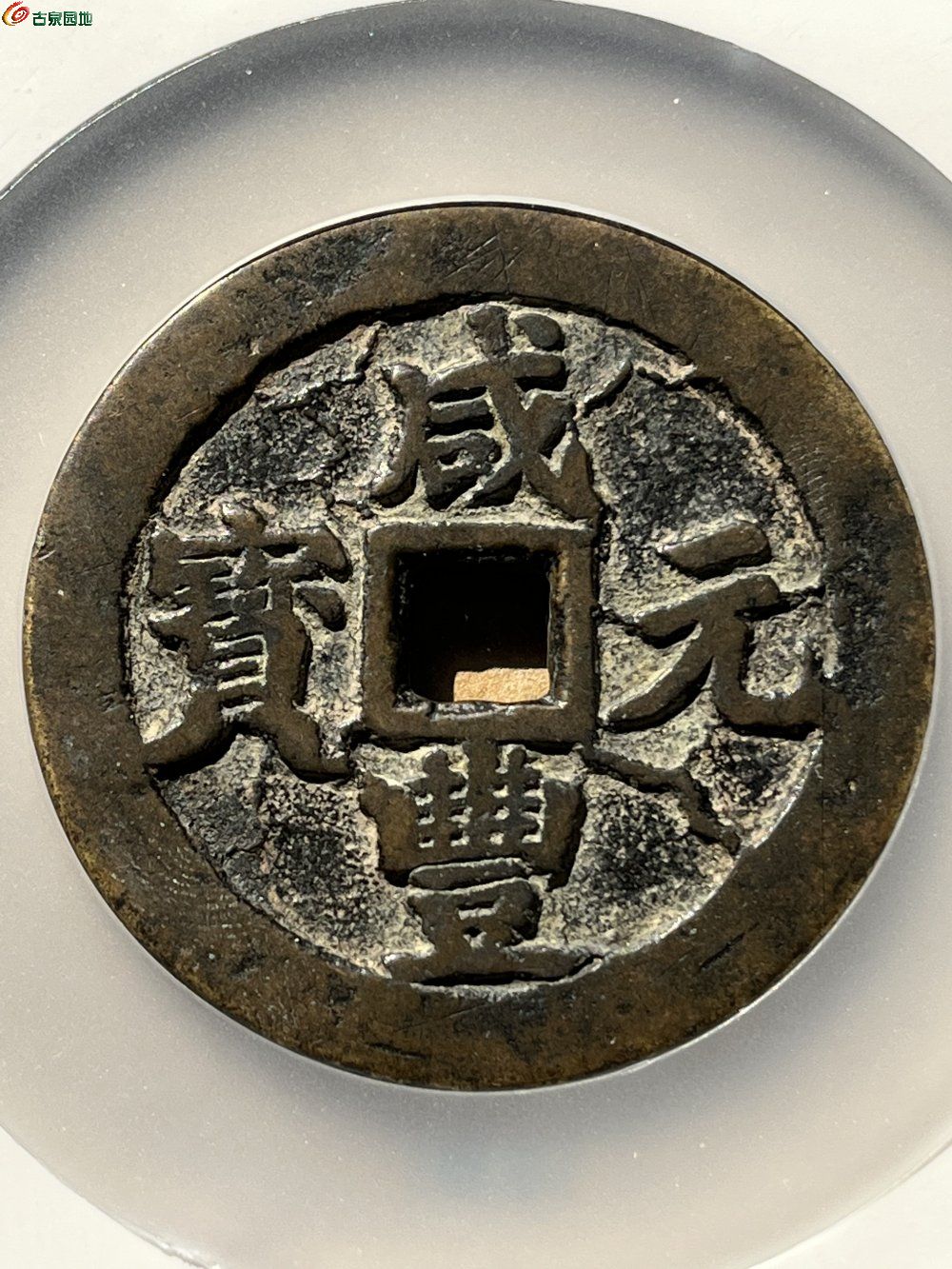 935D8B7A-696B-49DB-9A5A-A5849A6FA5A1.jpe