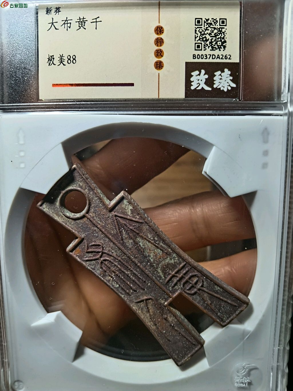 1766625788167.xfile.jpg
