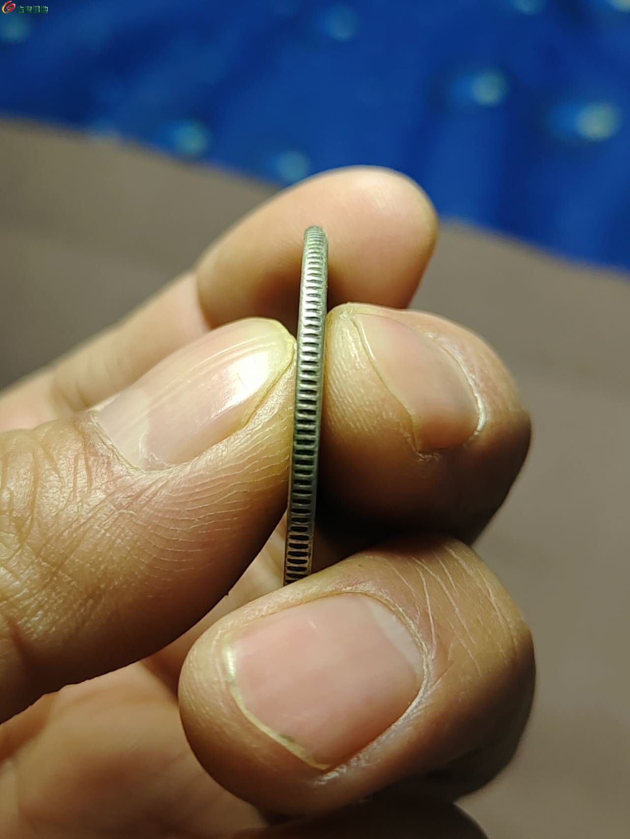 95757.jpg