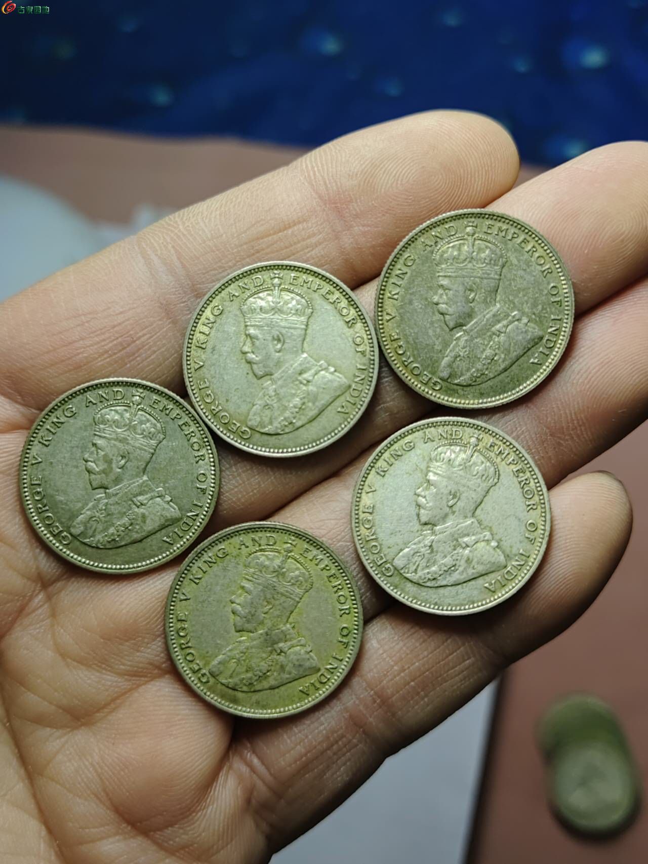 95186.jpg