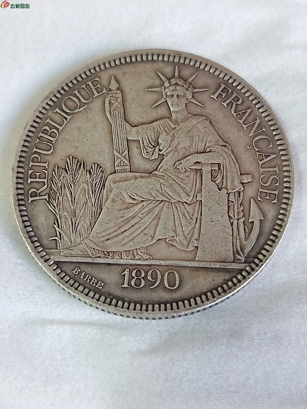 1767249591556.jpg
