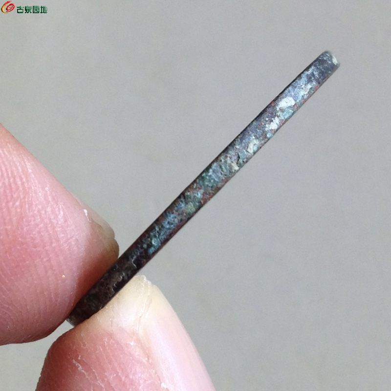 1113湖北珠圈水龙(自挑)C.jpg