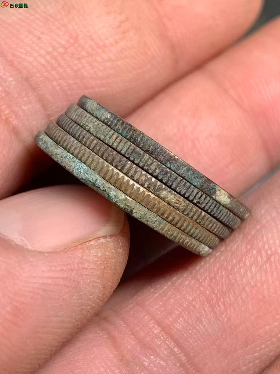 D83ADC28-316E-46A1-9D1D-00D67B29B5C7.jpe