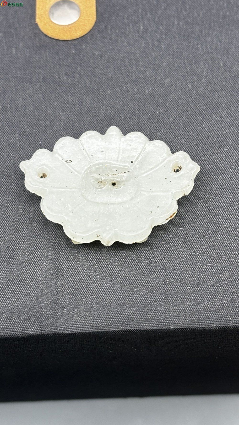 26596.jpg
