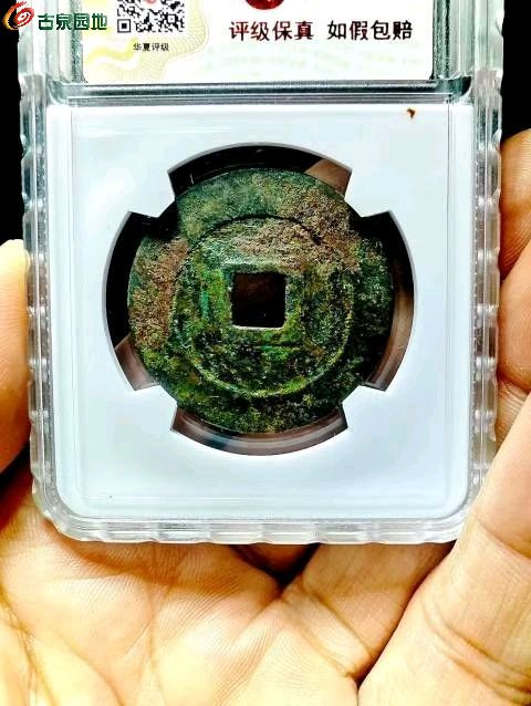 1767428449868.xfile.jpg