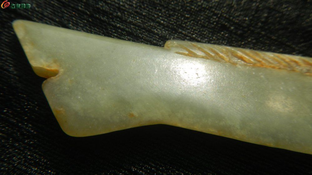 DSCN5084.JPG