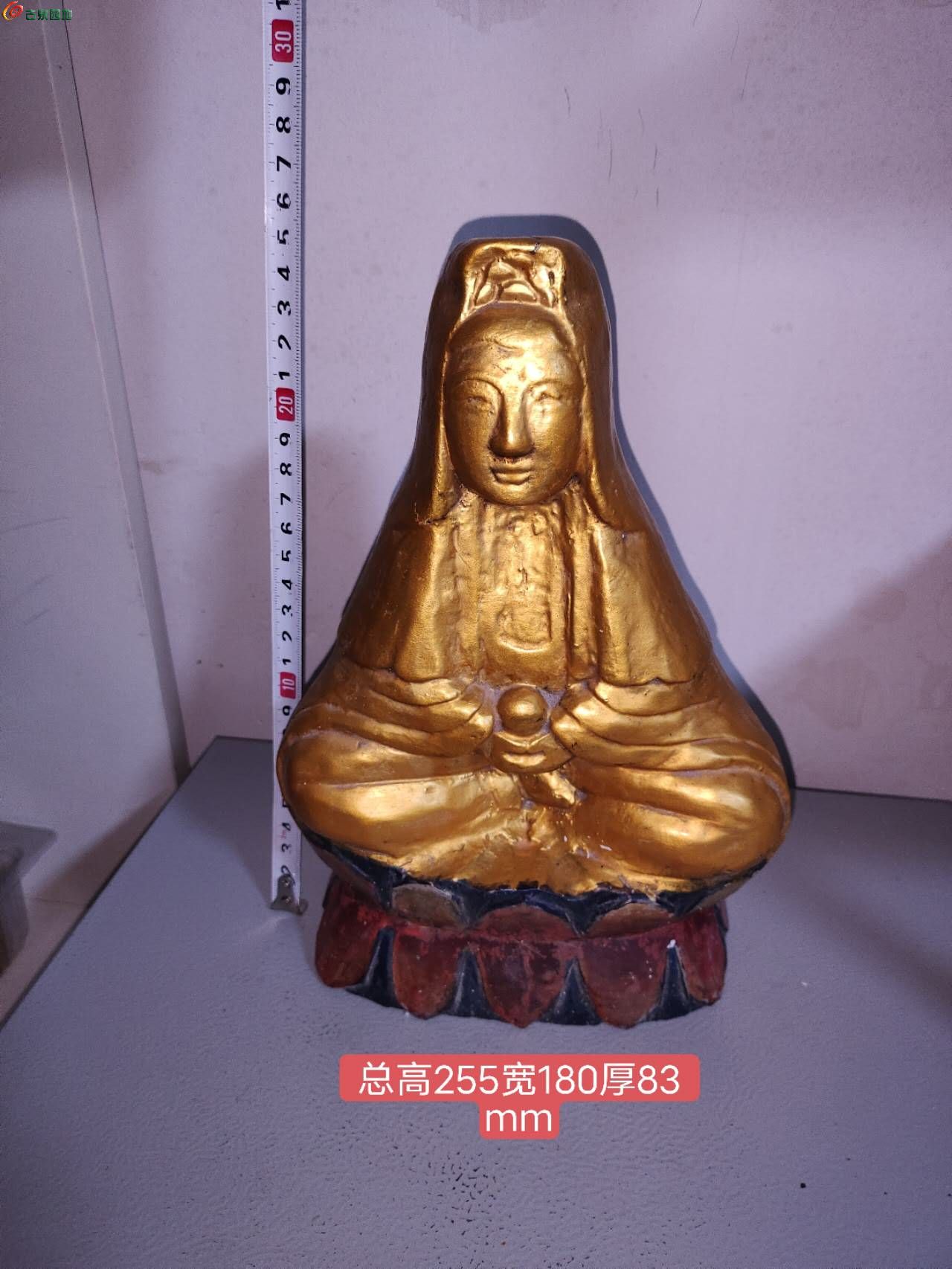 14870.jpg