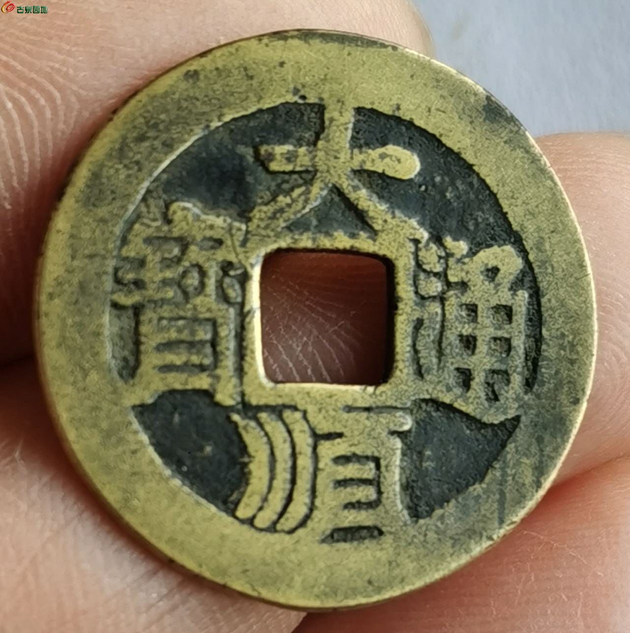 64835.jpg
