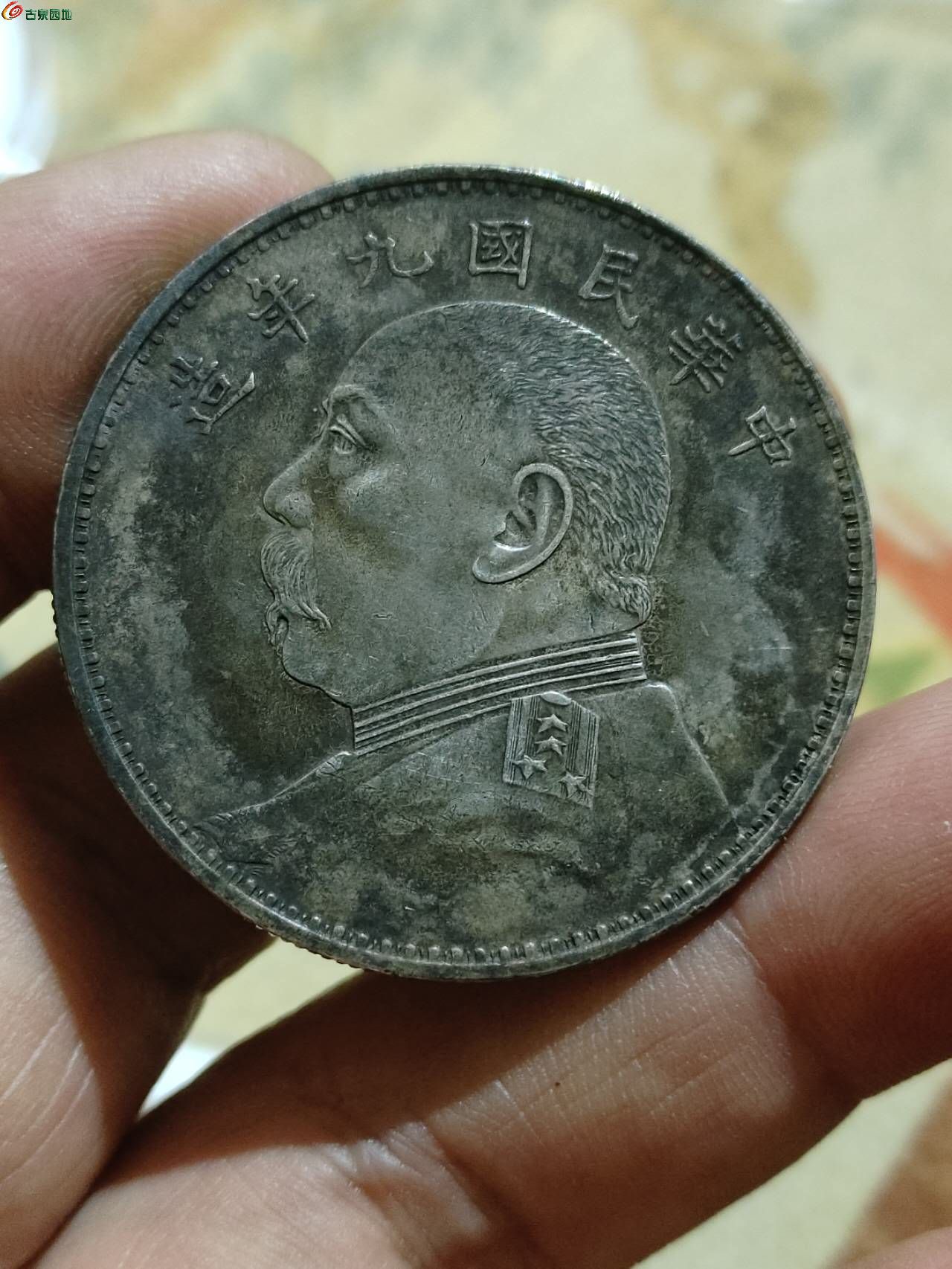 84458.jpg