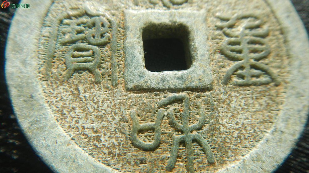 DSCN4789.JPG