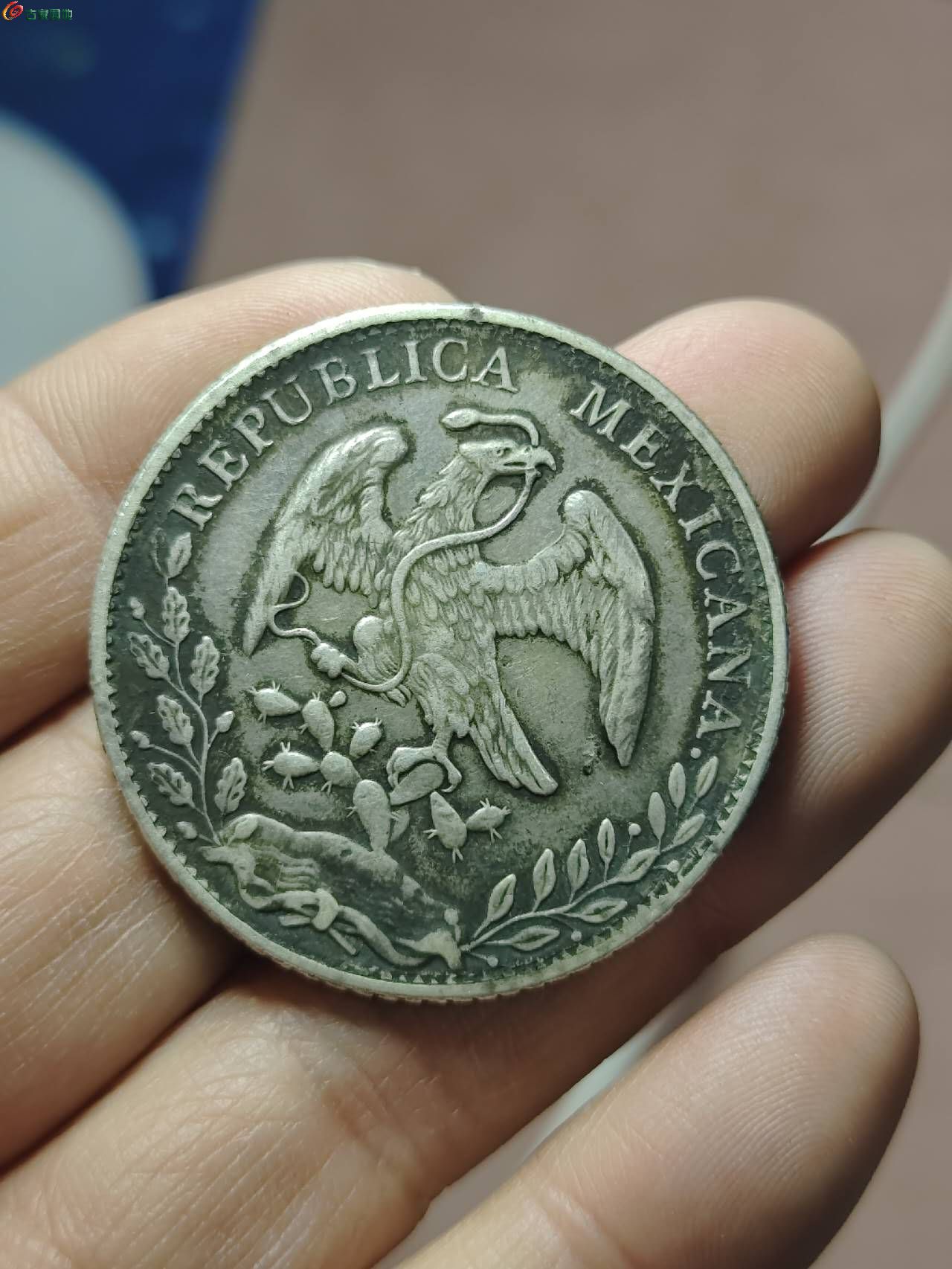18975.jpg