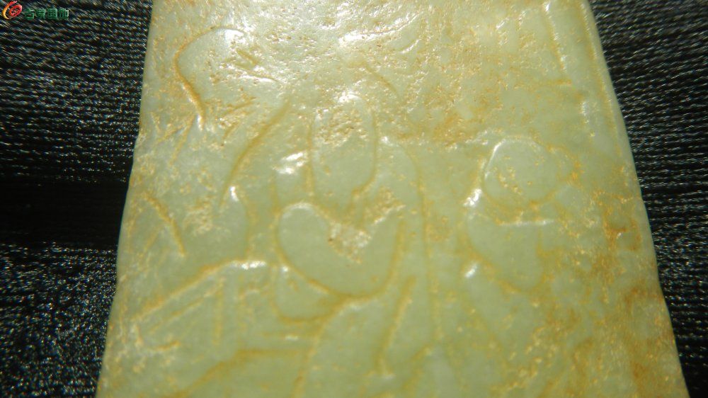 DSCN4785.JPG