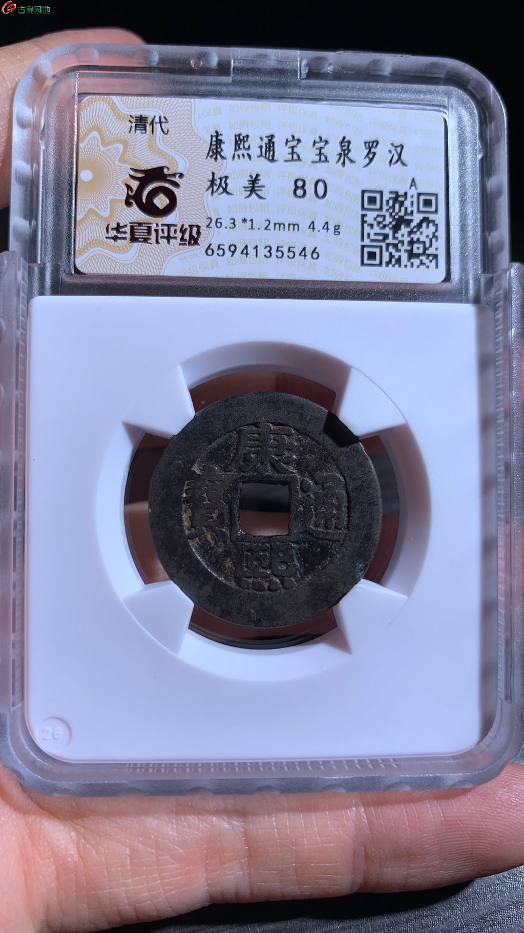 1766199693090.xfile.jpg