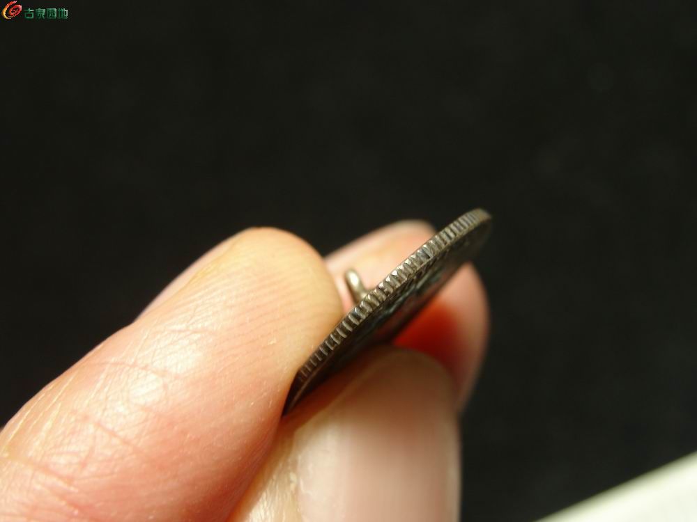 调整大小 DSC02633.JPG