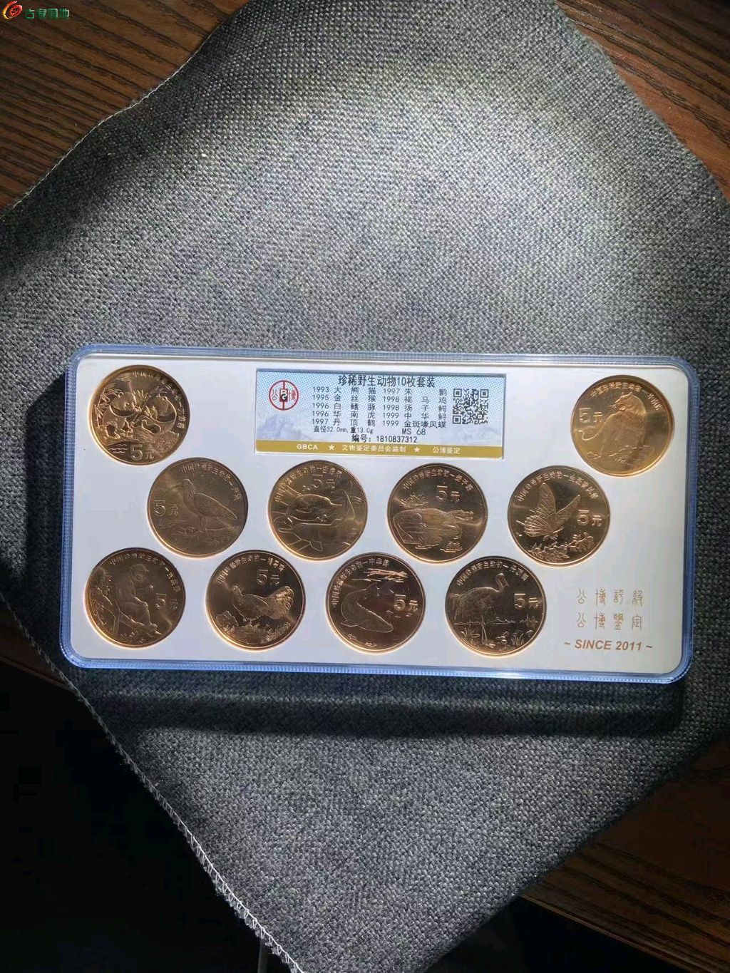 1766313679423.xfile.jpg