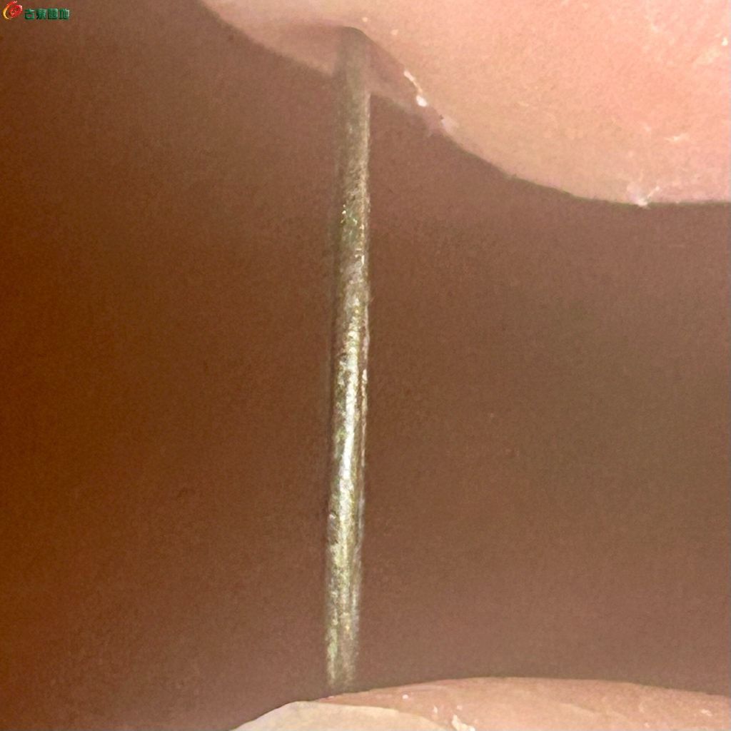 1766380300258.xfile.jpg