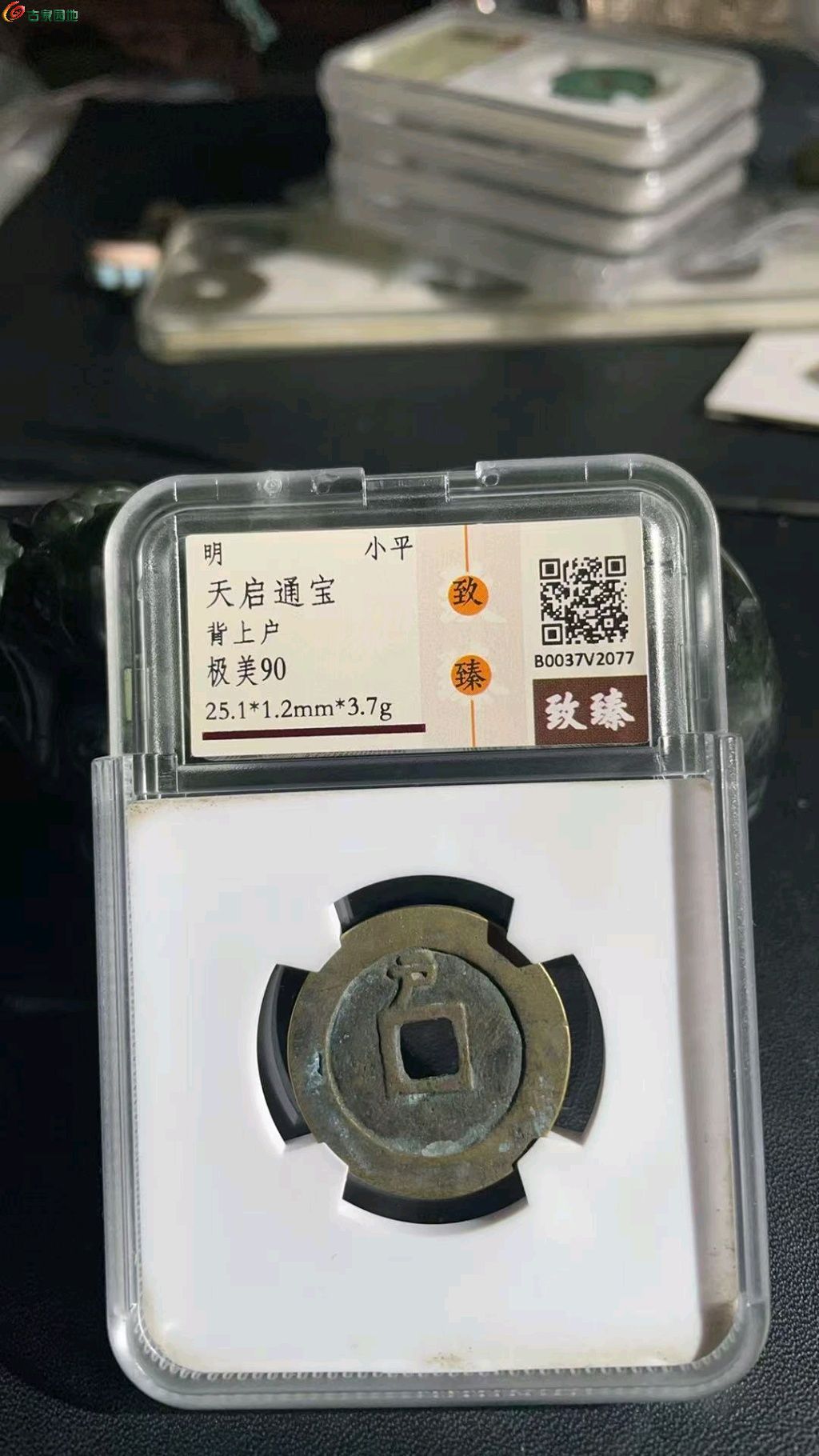 1766392164616.xfile.jpg