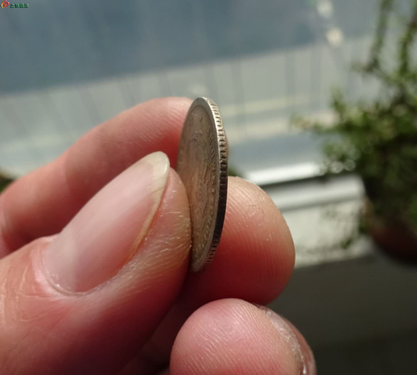 78458.jpg