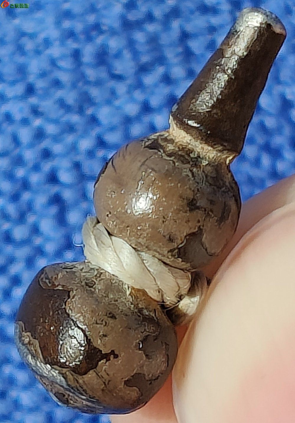 176,01152ad00295cc47.jpg