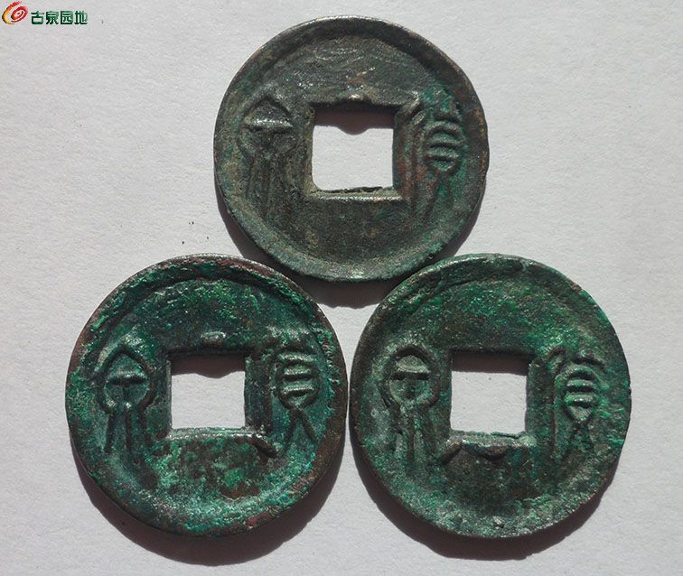 144.JPG