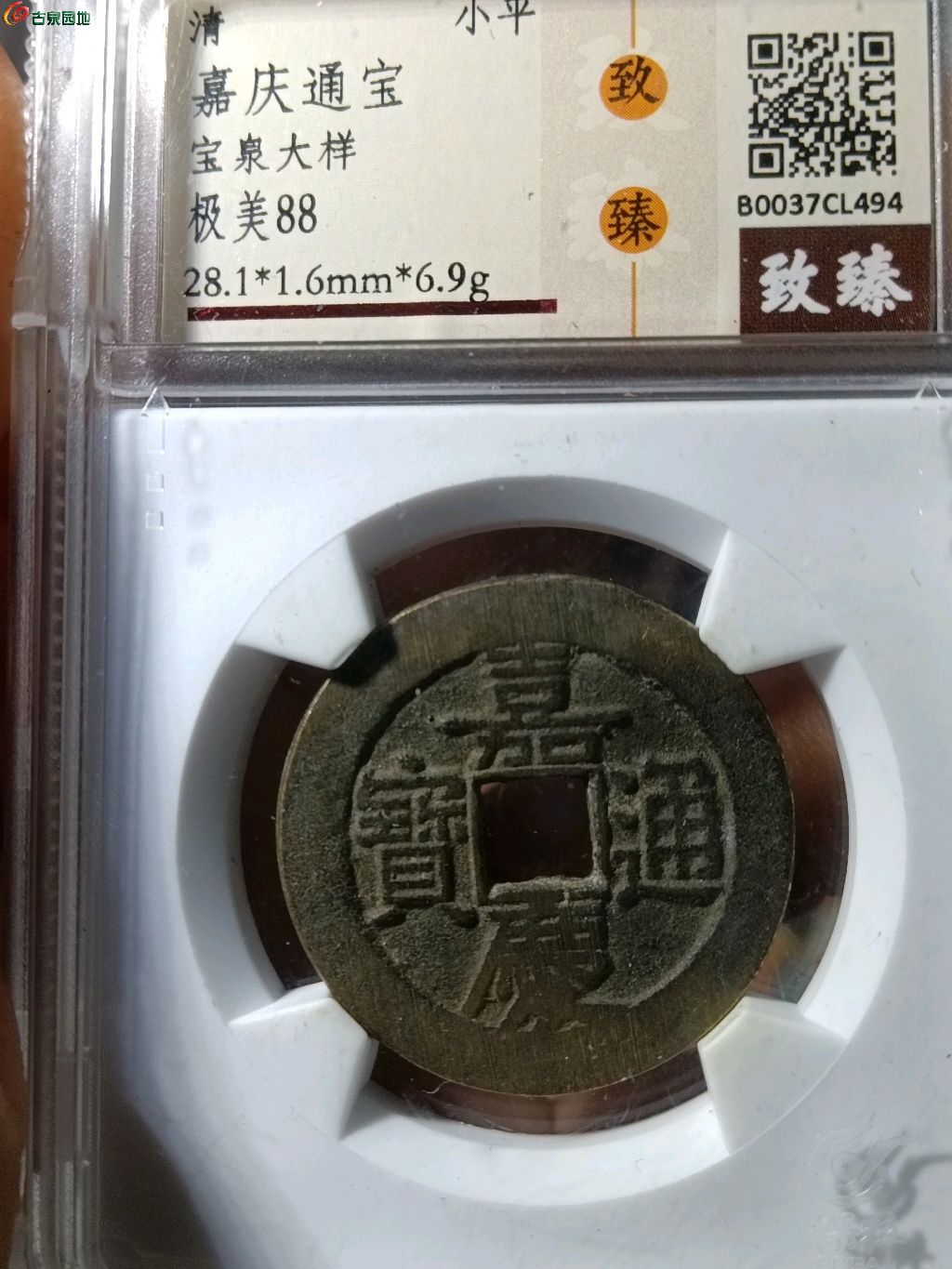 1767331511569.xfile.jpg