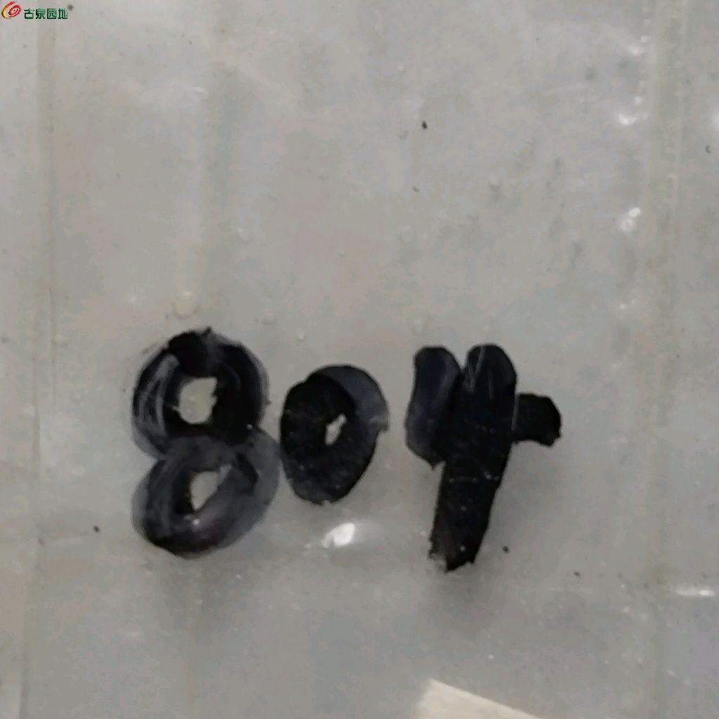 1767342172531.xfile.jpg