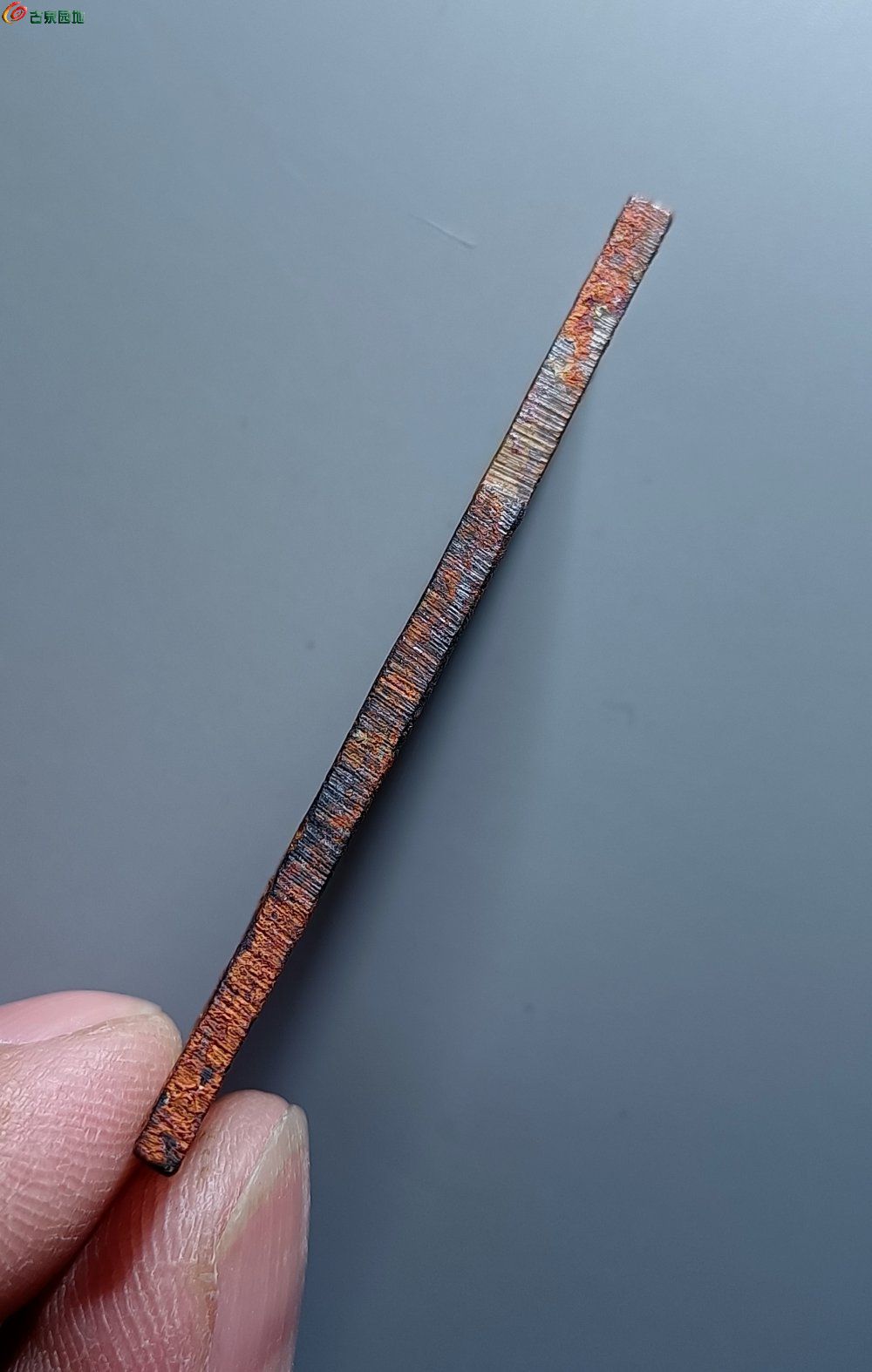 IMG_20251129_153613_edit_839819726732749