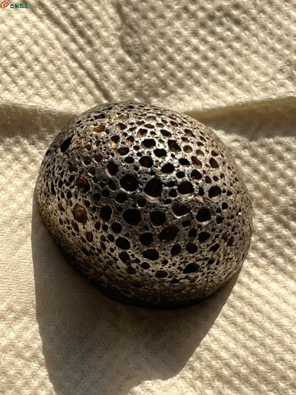 5A4528C7-A6AA-433E-8173-9072193203EF.jpe