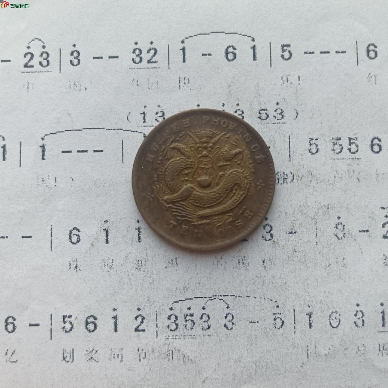 50276.jpg