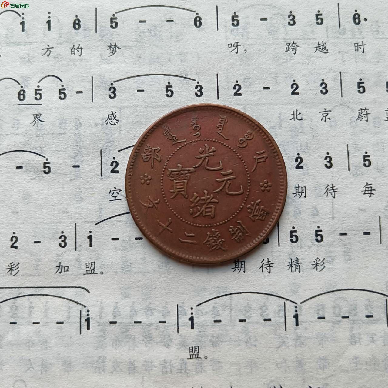 19342.jpg