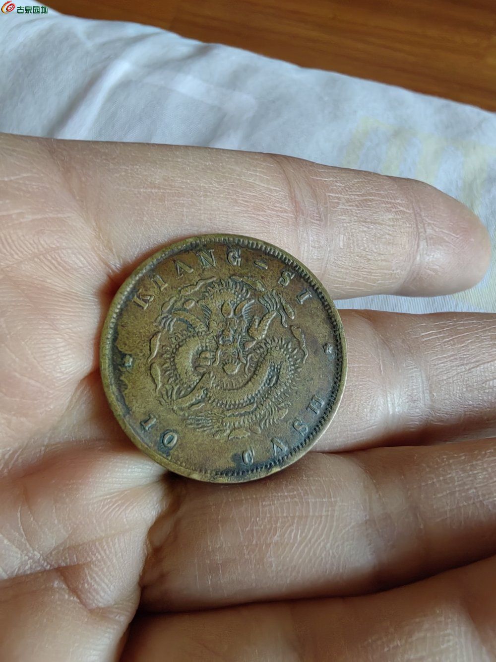 IMG_20260109_103006_edit_495197246945678