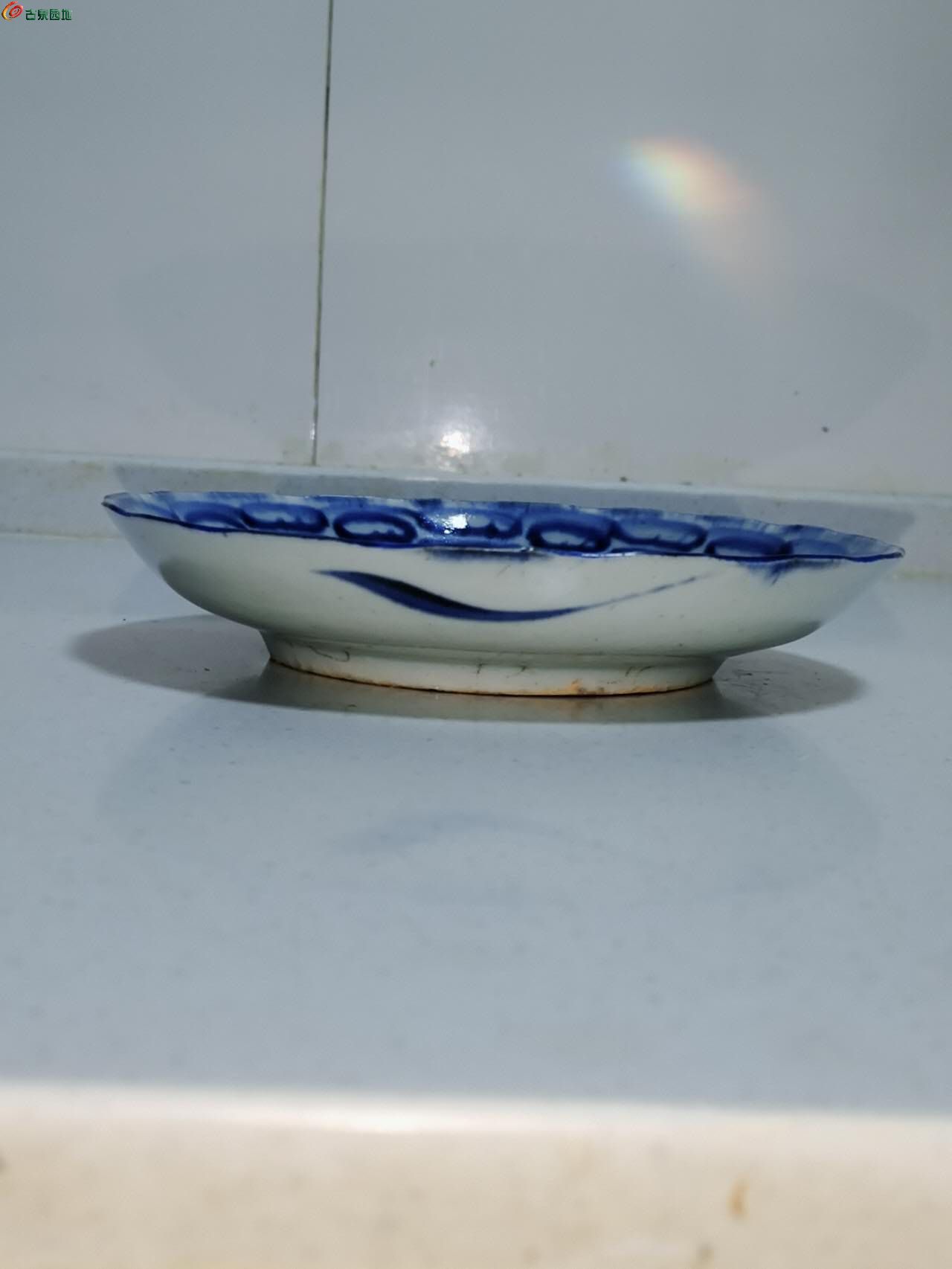 46957.jpg