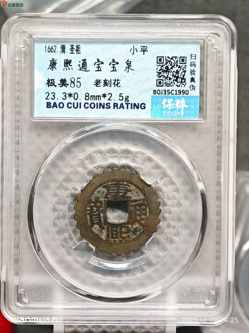 1766211958232.xfile.jpg