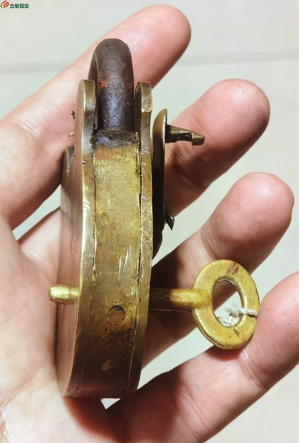 IMG_20251227_095041_edit_563898723408747