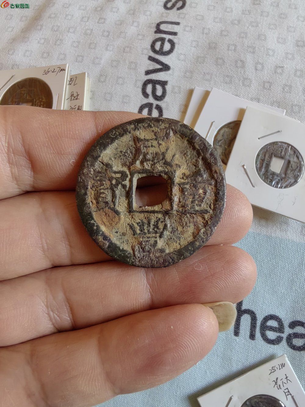 IMG_20251227_132941_edit_370880921500445