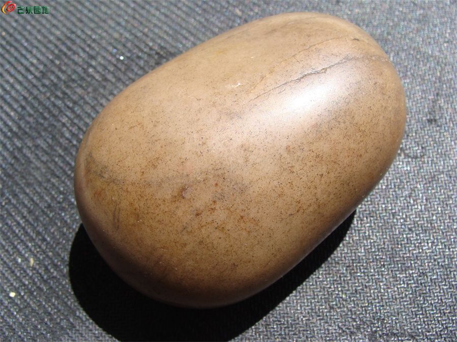 DSC06281.JPG