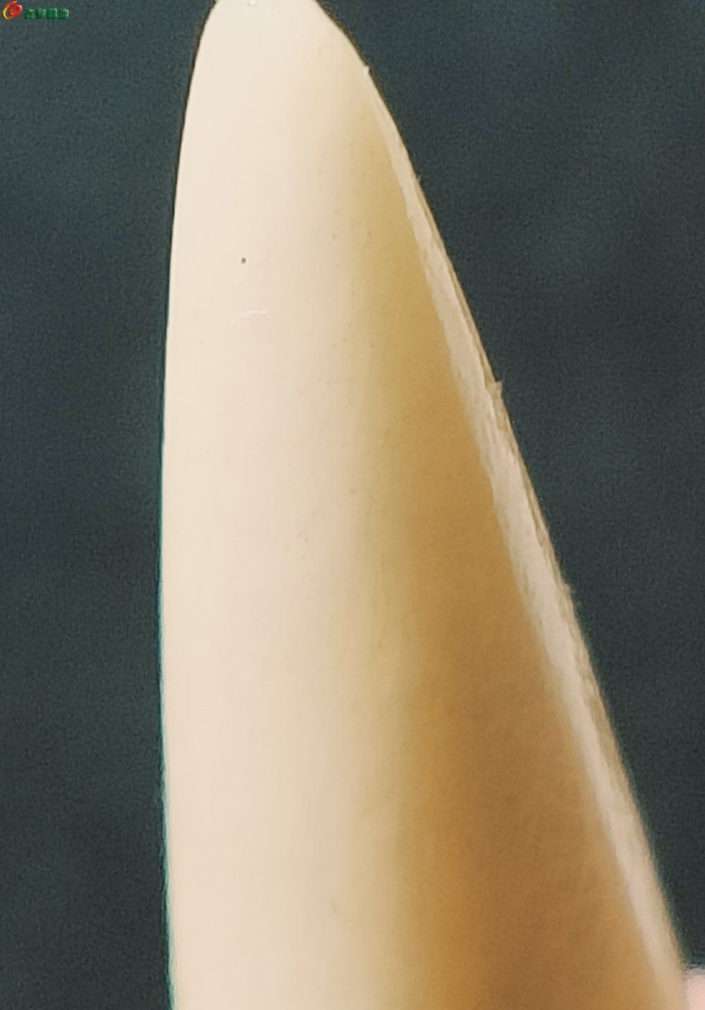 179,01181423ab9057ef.jpg