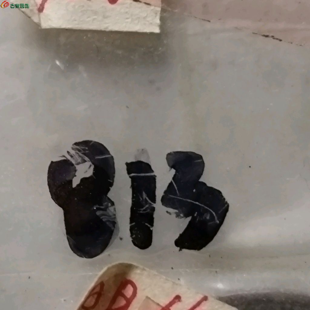 1767344057478.xfile.jpg