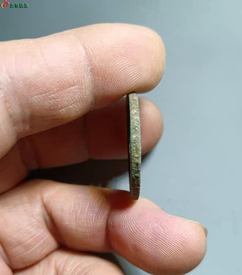 31621.jpg